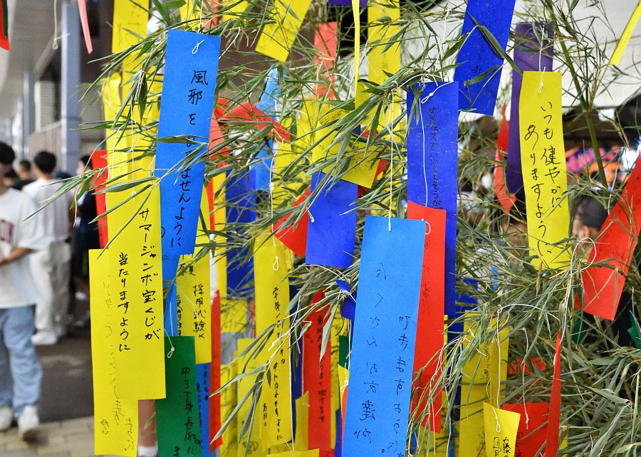 願いの竹